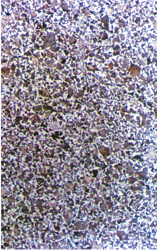 Parent metal microstructure of coupler (100X)