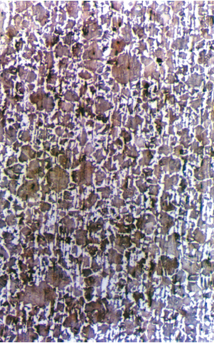 Parent metal microstructure of high-strength rebar (100X)